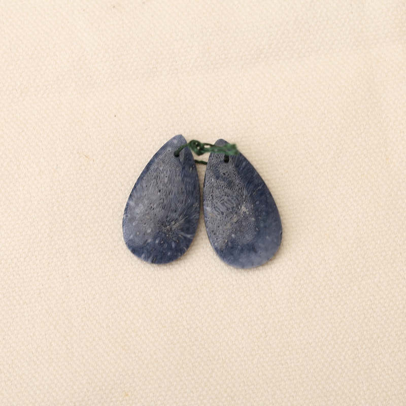 Natural Blue Coral Earring Bea - Jewelry Making Drill recension och pris